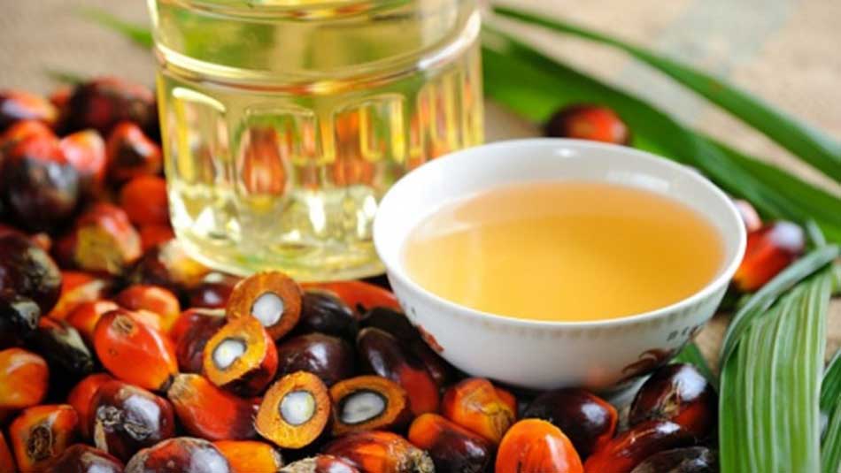 Know every facts about Palm oil