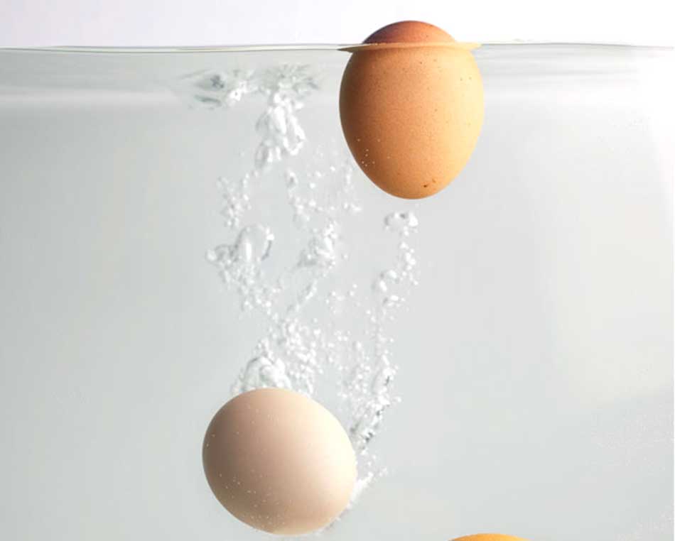 How to check the eggs are fresh or not.