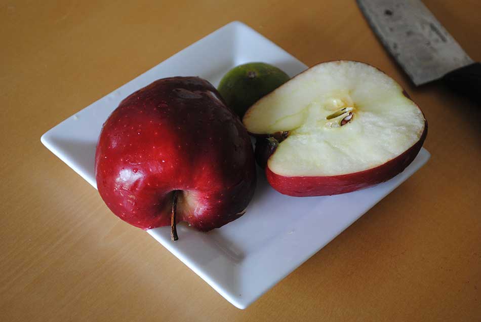  Preventing cut fruit(Apple) from brwoning