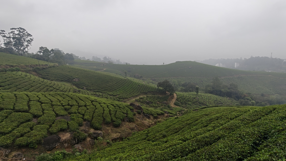 Kerala Travel Guide from Hyderabad